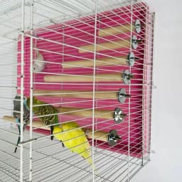 Natural Wood Pet Parrot Raw Wood Fork Tree Branch Stand Rack Squirrel Bird Hamster Branch Perches Chew Bite Toys Stick