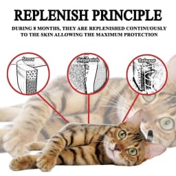 Flea And Tick Collar Adjustable Dogs Cats Necklace 8 Month Protection Anti-mosquitoes Insect Repellent Pet Supplies
