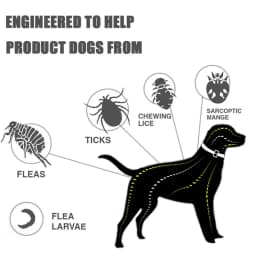 Flea And Tick Collar Adjustable Dogs Cats Necklace 8 Month Protection Anti-mosquitoes Insect Repellent Pet Supplies