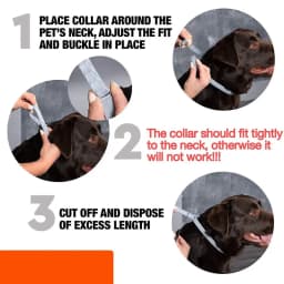 Flea And Tick Collar Adjustable Dogs Cats Necklace 8 Month Protection Anti-mosquitoes Insect Repellent Pet Supplies