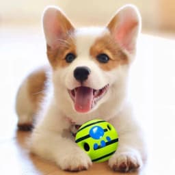 Wobble Wag Giggle Glow Ball Interactive Dog Toy Fun Giggle Sounds When Rolled or Shaken Pets Know Best As Seen On TV