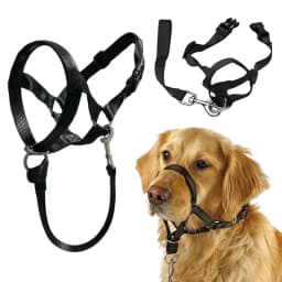 Adjustable Anti barking Non Pull Nylon Leader Harness Dog Head Collar Dog Halter Dog Muzzle