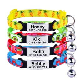 Personalized Customize Cat Collar Name Fast Breakaway Nylon Id Bell Pet Products Small Adjustable Unisex Kitten Supplies