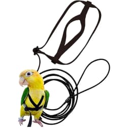 Parrot Bird Harness Leash Outdoor Activities Flying Traction Straps Band Flying Rope For Small Parakeets Cockatiels Bird NEW