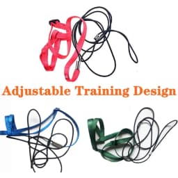 Parrot Bird Harness Leash Outdoor Activities Flying Traction Straps Band Flying Rope For Small Parakeets Cockatiels Bird NEW
