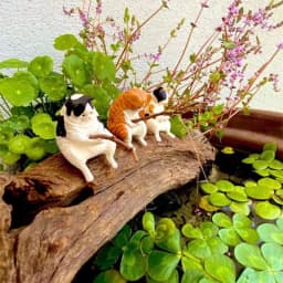Fishing Cat Ornaments Aquarium Decoration Fish Landscaping Cartoon Cat Statue Mini Resin Figurine Home Decorations