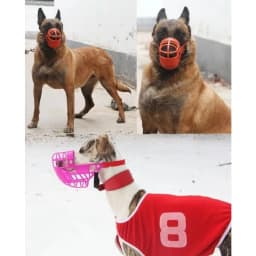 Adjustable Dog Muzzle Plastic Mask Anti-Barking Bite Mouth Cover for Small/Medium/Large Greyhound-Random Colors