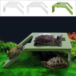 Tortoise Climbing Basking Platform Turtle Tank Floating Basking Platform For Aquatic Turtles Terrace
