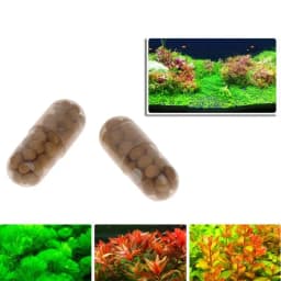 QX2E Aquarium Live Plant Fertilizer Root Tabs Qty 40 Capsules Best for Fish for Tank Aquatic Plants Indoor Outdoor Green Plan