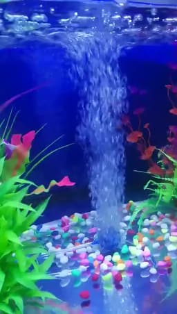 5 Pcs Aquarium Round Air Stones Mineral Bubble Diffuser Fish Tank Air Stones Suitable For Aquarium Pond Oxygen Pump Accessories