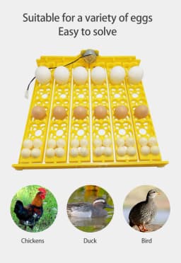36 Quail Eggs Tray Incubator Turner Automatically Egg Plates Turn Eggs Poultry Incubation Equipment for Chicks Ducks Bird