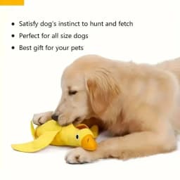 Quacky Delight Snack Dispenser - Squeak Toys for Puppy Training, Interactive Play, Mental Stimulation - Durable, Easy-to-Clean
