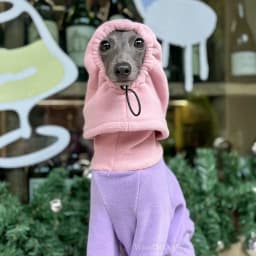 Dog Clothes for Italian Greyho with Hat Pure Color Four-legged Clothing Soft Stretchy Whippet Clothing Winter Warm Dog Clothing