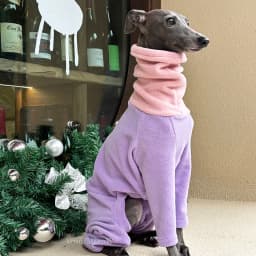 Dog Clothes for Italian Greyho with Hat Pure Color Four-legged Clothing Soft Stretchy Whippet Clothing Winter Warm Dog Clothing