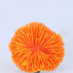 1 Piece Aquarium Decoration Saw Coral, Mini Fluorescent Coral, Fish Tank Landscaping