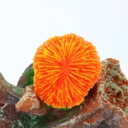 1 Piece Aquarium Decoration Saw Coral, Mini Fluorescent Coral, Fish Tank Landscaping