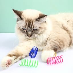 4-200 Pcs Cat Toys Interactive Durable Heavy Gauge Spring Tools Cat Spring Toys Colorful Cat Coil Toy Kitten Coil Spiral Springs