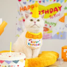 Cute Dog Cat Clothes Birthday Bib Party Hat Bandana Set Puppy Cat Adjustable Drool Scarf Pets Birthday Costume Supplies