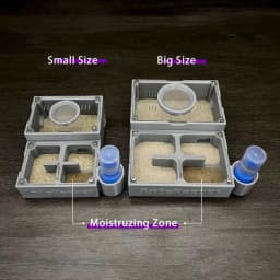 【Four Section】Flat Ant Farm with Indepedent Rooms for Ants keeper , Ant Hill House Nest for Small and Middle Ants Colony