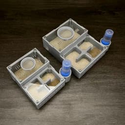 【Four Section】Flat Ant Farm with Indepedent Rooms for Ants keeper , Ant Hill House Nest for Small and Middle Ants Colony