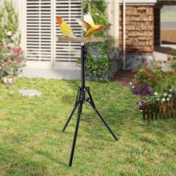 Wood Bird Branch Stand Height Adjustable Foldable Parrot Bird Training Perch Pet Bird Toy Portable Outdoor Perches Platform