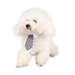 Pet Puppy Bow Tie Necktie - Adjustable Formal Dog Collar for Small Dogs and Cats, Puppy Grooming Costume Accessories