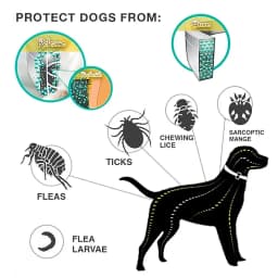 Dog Anti Flea And Tick Collars Pet 8 Month Protection Adjustable Collar For Large Dog Puppy Cat Leashes Dogs Accessories