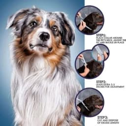 Dog Anti Flea And Tick Collars Pet 8 Month Protection Adjustable Collar For Large Dog Puppy Cat Leashes Dogs Accessories