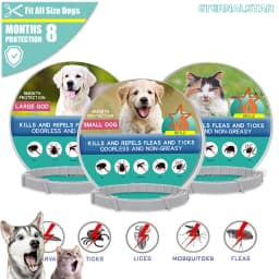 Dog Anti Flea And Tick Collars Pet 8 Month Protection Adjustable Collar For Large Dog Puppy Cat Leashes Dogs Accessories