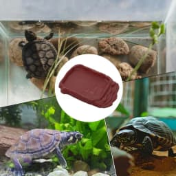 Turtle Water Dish With Anti-Slip Imitation Rock Ladders Food Water Bowl For Bearded Dragon Lizards Gecko Small Pet Supplies