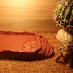 Turtle Water Dish With Anti-Slip Imitation Rock Ladders Food Water Bowl For Bearded Dragon Lizards Gecko Small Pet Supplies