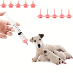 Nipples for Kittens Nipples for Dogs Nipples for Squirrels Nipples for Kittens Nipples for Small Animals Nipples for Kitten Nurs