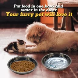 Slip-Resistant Stainless Steel Cat Bowl Set – Low-Profile Wide Design for Kittens & Small Pets Anti-Tip Base Feeding Station