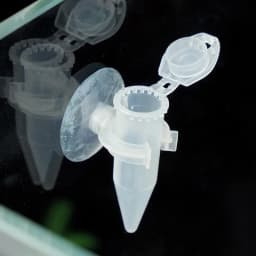 Plastic Aquarium Automatic Feeder with Suction Cup Red Worm Feeding Fish Tank Shrimp Egg Feeder Food Tapered Hopper Basket 1Pcs