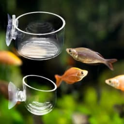 Plastic Aquarium Automatic Feeder with Suction Cup Red Worm Feeding Fish Tank Shrimp Egg Feeder Food Tapered Hopper Basket 1Pcs