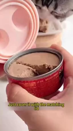 New Cet Canned Sealed Lid for Cats Canned Cat Food Spoon Fashionable and Comfortable Pet Dog Canned Seal Fresh-Keeping Lid Spoon