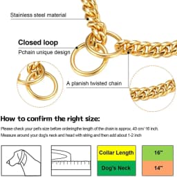 Golden Stainless Steel Dog Necklace P Chain Titanium Steel Dog Collar for All Stage Dog Breeds for Pet Training