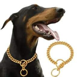 Golden Stainless Steel Dog Necklace P Chain Titanium Steel Dog Collar for All Stage Dog Breeds for Pet Training