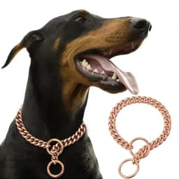 Golden Stainless Steel Dog Necklace P Chain Titanium Steel Dog Collar for All Stage Dog Breeds for Pet Training