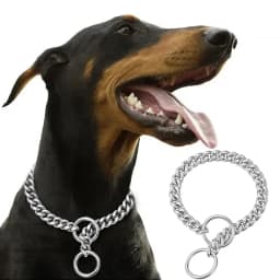Golden Stainless Steel Dog Necklace P Chain Titanium Steel Dog Collar for All Stage Dog Breeds for Pet Training