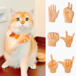 Cat Finger Gesture Gloves Creative TPR Stretchable Toy High Elasticity Interactive Cat Play Safe Pet Toy Funny Animal Paw Design