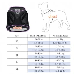 Adjustable Pet Dog Cat Harness and Leash Set Harness for Dogs Cats Vest Harness Puppy Dog Kitten Lead Cat Collar Pet Accessories