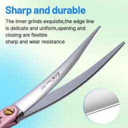 Fenice Advanced 6.5/7.0 Inch JPVG10 Steel Colorful Pet Dog Grooming Shears Cuting/Curved Scissors with High Quality Alloy Handle