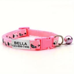 Personalized Cat Collar with Bell Buckle Customized Nametag Puppy Kitten Necklace Free Engraved Name ID Tag Nameplate