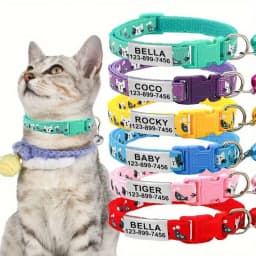 Personalized Cat Collar with Bell Buckle Customized Nametag Puppy Kitten Necklace Free Engraved Name ID Tag Nameplate