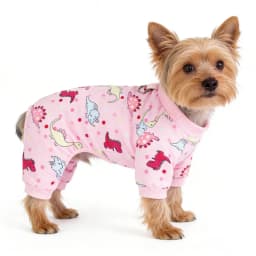 Dog Pajamas for Small Dogs Girl Boy Puppy Pjs Summer Pet Onesies for Chihuahua Yorkie Teacup Cute Soft Material Stretch Outfit
