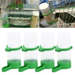 4 Pcs Pet Bird Feeder Water Dispenser Parrot Water Dispenser Bird Feeder Bird Feeding Supplies Agricultural Equipment (size: M)