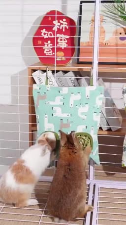 2/3 Holes Hanging Hay Bag with Hooks, Cute Watermelon Strawberry Feeder Dispenser for Rabbits Guinea Pigs Small Animals Cage Acc