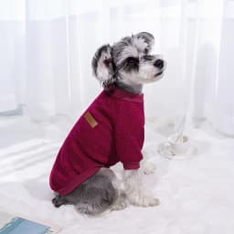 Cute Knitted Sweater for Dogs Warm Winter Jacket Cat Clothing Round Neck Pullover Pet Sweater for Small Medium Dogs Teddy,