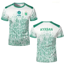 Team Falcons 2025 Training Uniforms CS2 Esports NIKO M0NESY Kyousuke Jersey T-shirts Men's O Neck Tees Gifts Clothes